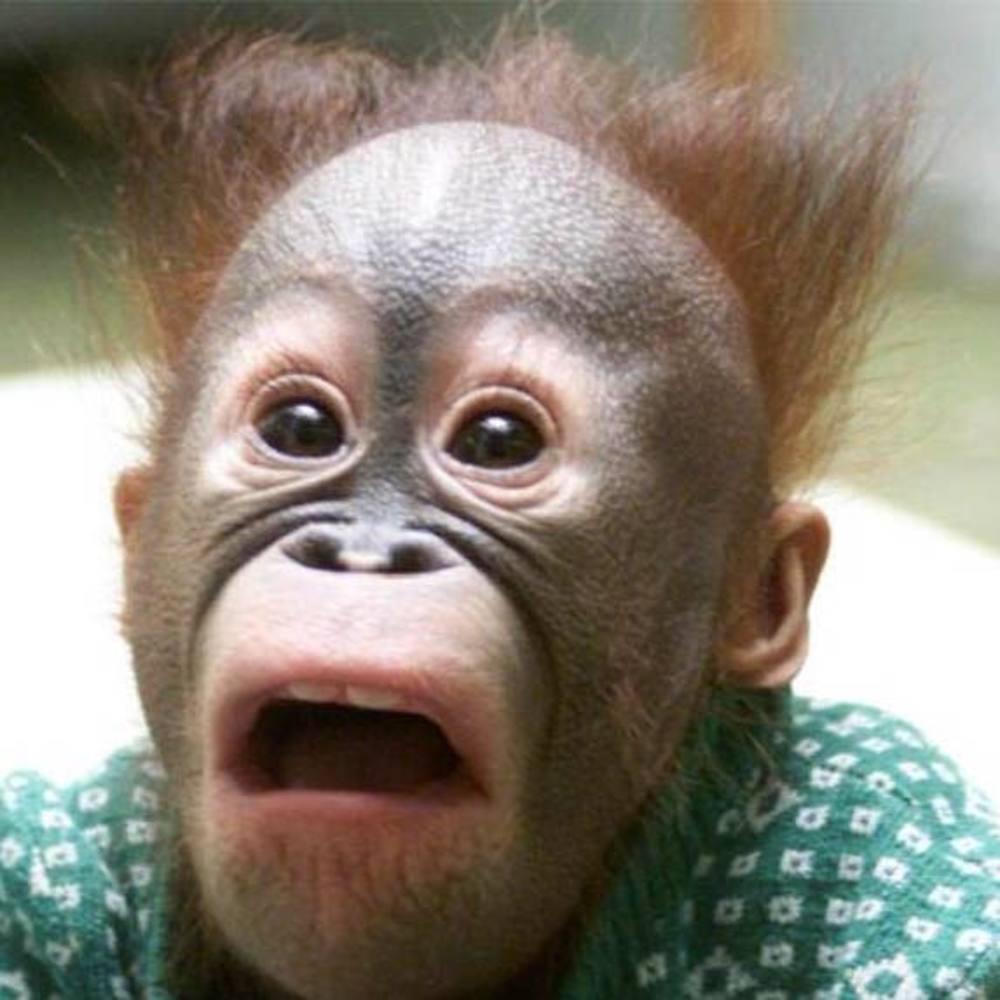 Meet your Posher, Simon